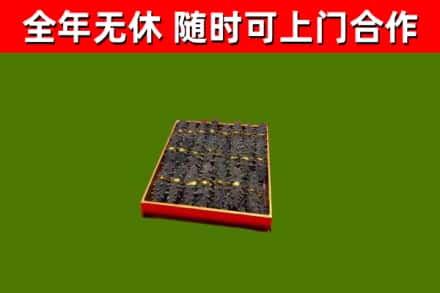 南山区回收海参
